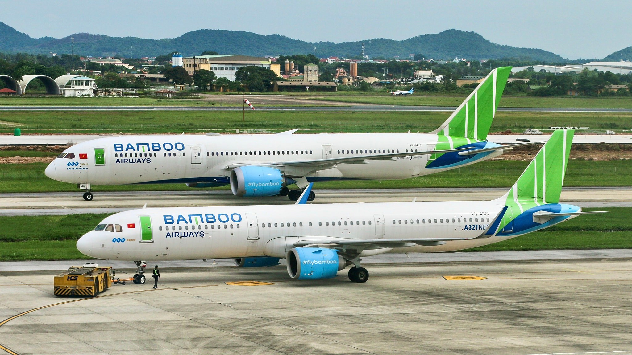 bamboo