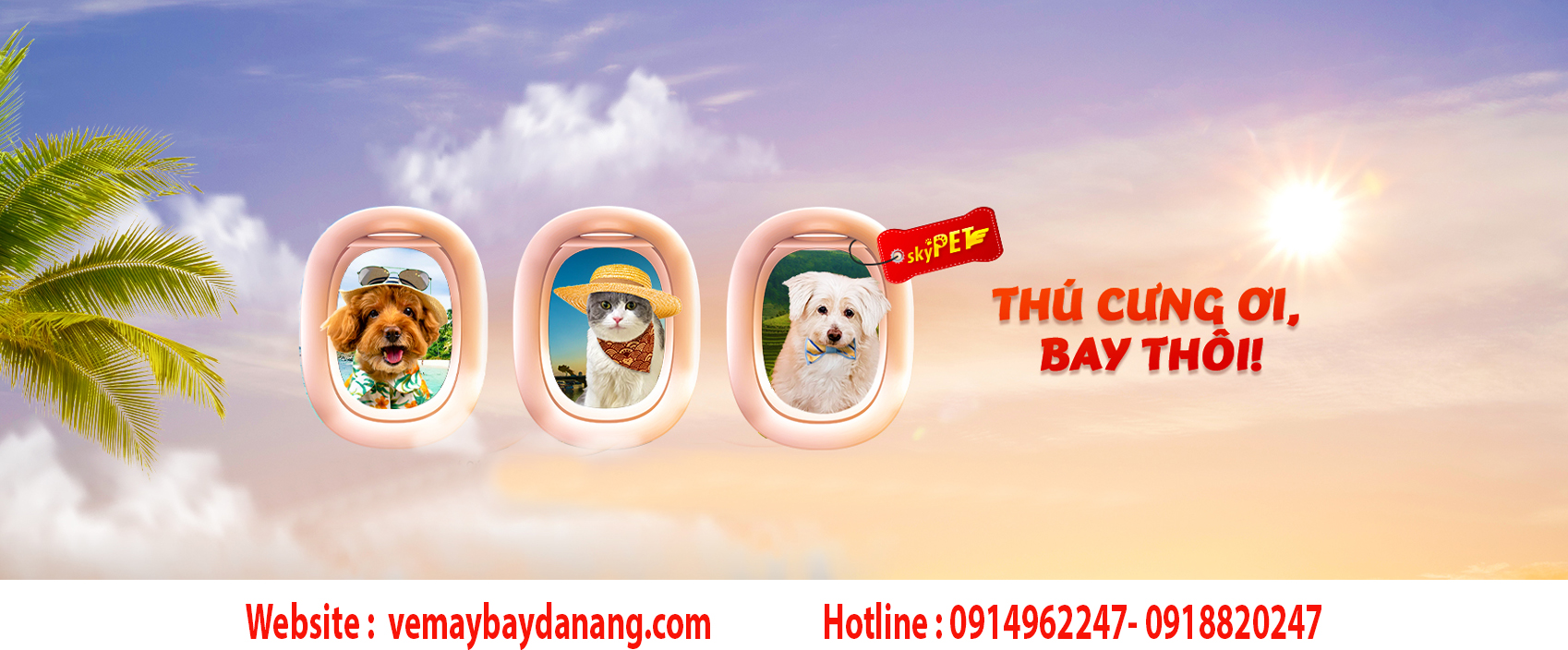 Vé máy bay vận chuyển thú cưng